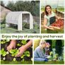 Walk-in Polytunnel Greenhouse Green House with Roll-up Sidewalls, UV-resistant PE Cover, 3 x 2 x 2m, White Image 4