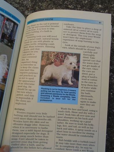 Guide to Owning WestHighland Terrier, Book, Non fiction