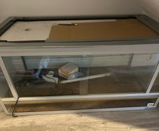 free terrarium