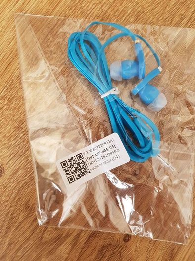 Earphones