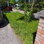 grass cutting etc Image 3