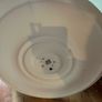 Pair of decorative white ceiling roses for chandeliers or pendant lights. Image 5