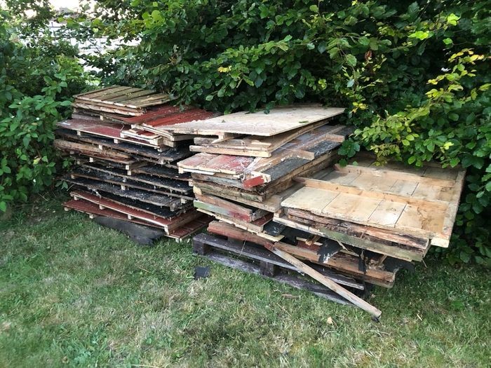 fire wood / timber