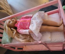 Our generation bunk bed and doll