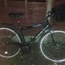 Belmont hybrid racer Image 4