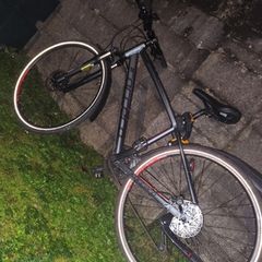 Carrera crossfire