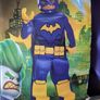 Official DC Batgirl Head-to-toe Custom for 124-135cm Image 7