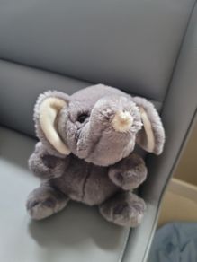Elephant Plush Toy Teddy Bear Teddy Bear Plush Toys Teddies Soft Toys Comforter