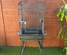 Large Bird Cage for Sale