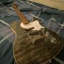Aria Nashville pro ii telecaster Image 2