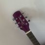 Brunswick Purple Guitar Image 2