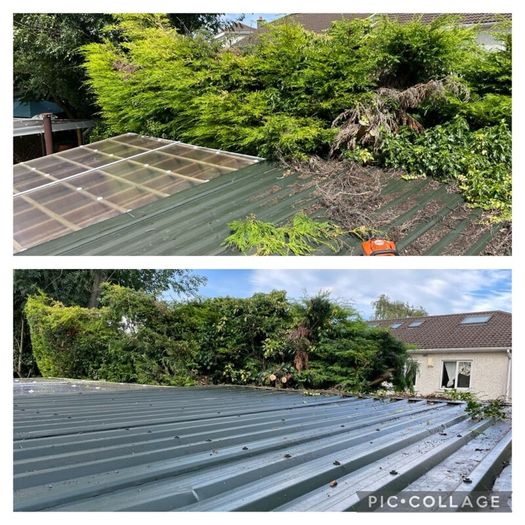 Garden maintenance