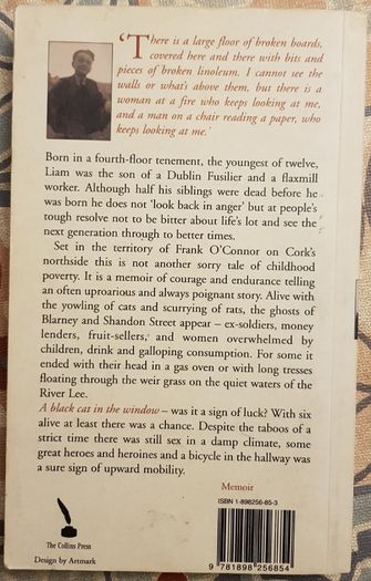 Black Cat In The Window: A Family Album with Much Love and Squalor by Liam O'Murchu
