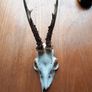 6 roe deer skulls Image 8