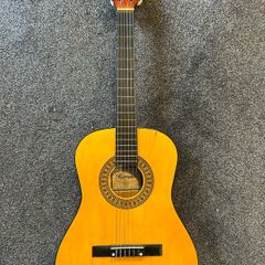 Guitar for sale