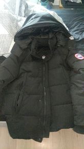 Canada Goose 1:1