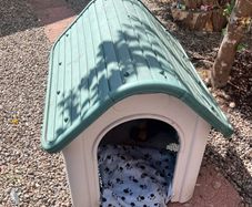 Dog Kennel