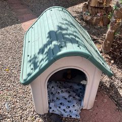 Dog Kennel
