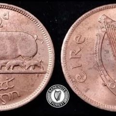 [#2515] - Ireland 1967 | Irish 1/2d | Irish Half Penny | KM.10 | UNC