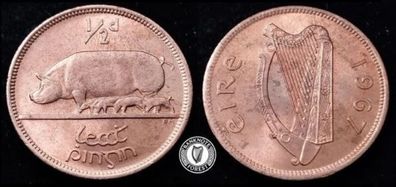 [#2515] - Ireland 1967 | Irish 1/2d | Irish Half Penny | KM.10 | UNC