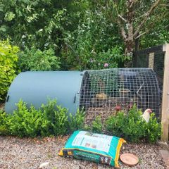 Chicken  coop