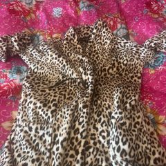 dressing  gown