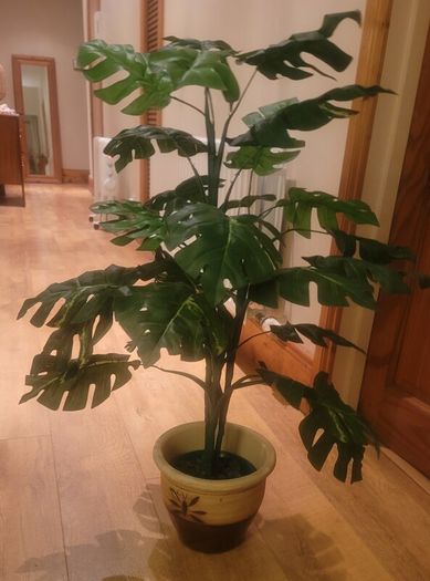 Artificial Monstera Plant in Strong Ceramic Plant Pot with Decorative Stones