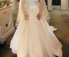Wedding dress & veil