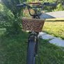 Electric Bicycle Image 5