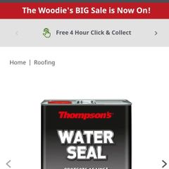 Thompsons Water Seal 5L