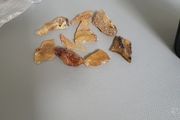 Amber baltic.