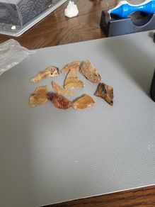 Amber baltic.