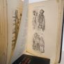 Bret Harte's Select Works in Prose and Poetry with an Introduction by Rev. J. Montesquieu Bellew (HQ386) Image 6