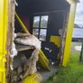 ice cream hut Image 4