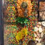 Fish Tank Image 2