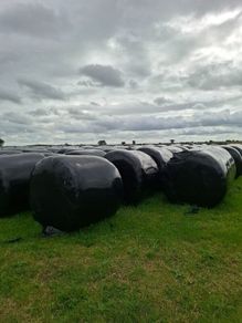 Haylage