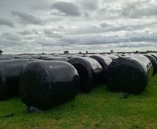 Haylage