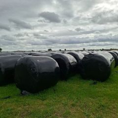 Haylage