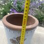 Avoca Pots Multiple Pairs Image 10