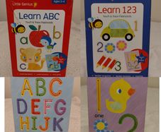 Little Genius Touch & Trace Flash Cards