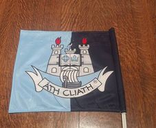 Dublin Gaa Car Flag