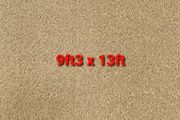carpet 9ft3 x 13ft