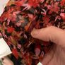 French Connection silk blouse Image 4