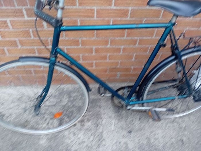 adults bike