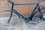 adults bike