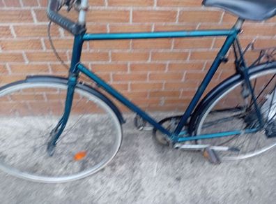 adults bike
