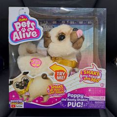 Pets Alive Poppy the Pug