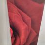 Three matching rose prints on canvas. Image 2