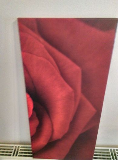 Three matching rose prints on canvas.