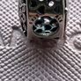 Pandora Family Roots Charm-Brand new Image 3